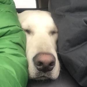 Meet your Posher, Scott